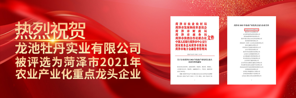 龍頭企業(yè)