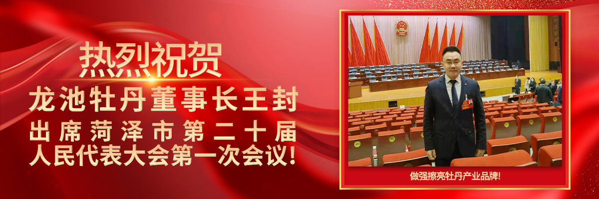 菏澤兩會(huì)