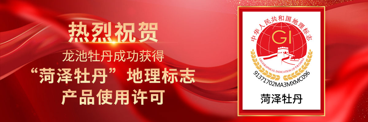 喜報(bào)！龍池牡丹成功獲得“菏澤牡丹”地理標(biāo)志產(chǎn)品使用許可！