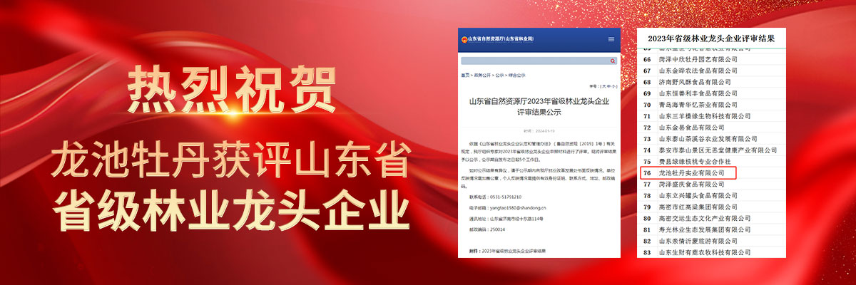 喜報(bào)！熱烈祝賀龍池牡丹獲評(píng)山東省省級(jí)林業(yè)龍頭企業(yè)